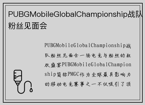 PUBGMobileGlobalChampionship战队粉丝见面会